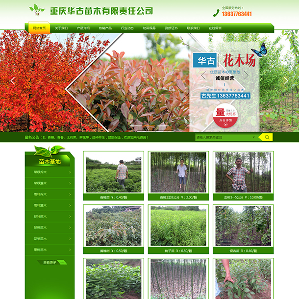 blog image